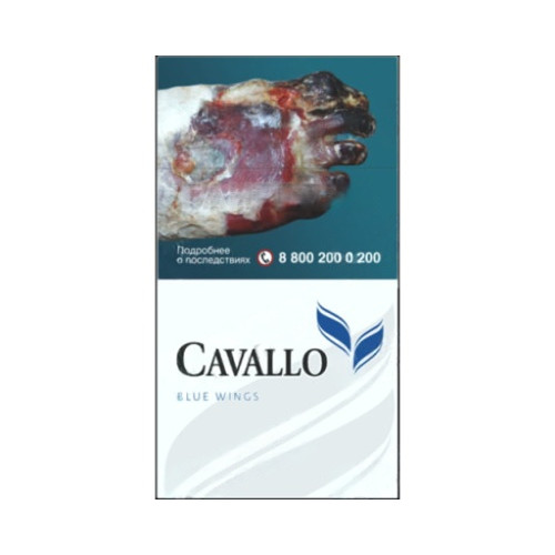 Cavallo Black Wings